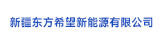 04新疆東方希望新能源有限公司